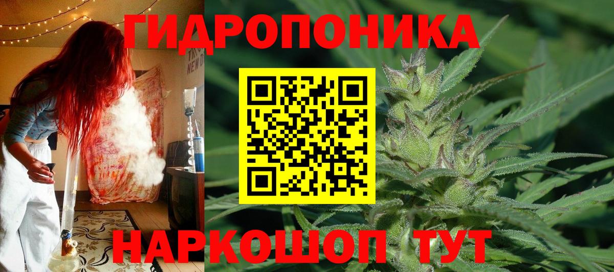 Шишки марихуана марихуана Сочи
